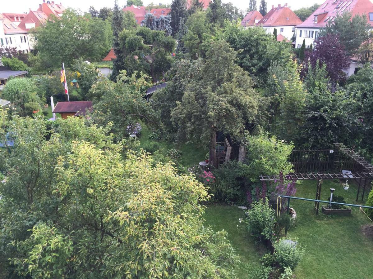 In Apartament Drezno